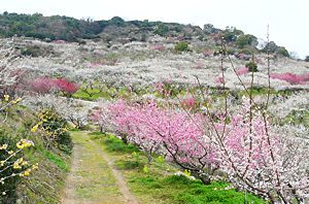 たつの市城下町｜たつの市 観光